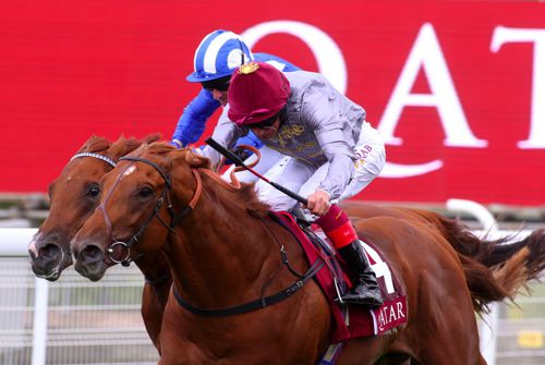 Galileo Gold