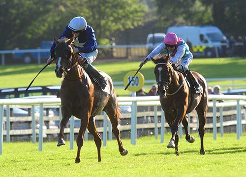 Nova and Billy Lee are clear from Pictogram and Pat Smullen