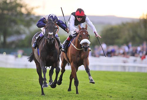 Good Tradition (right)