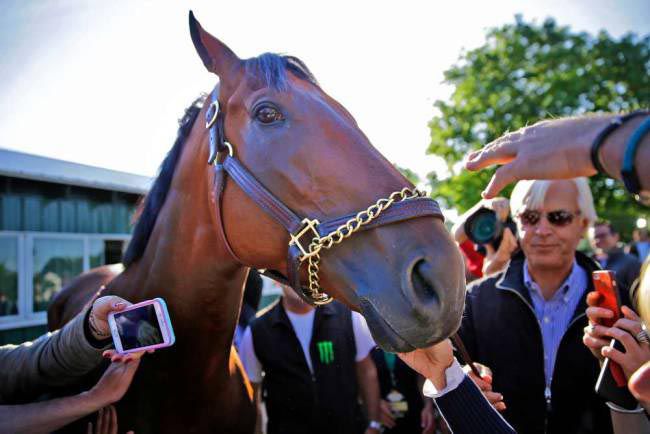 American Pharoah
