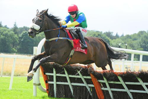 Theos Well clears the last under Jonathan Burke