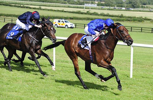 Herald The Dawn stretches clear under Kevin Manning