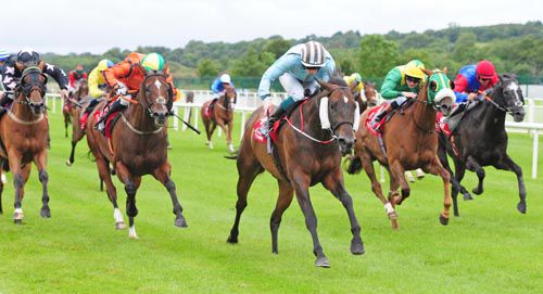 Barbeque (in the cheek pieces) finishes best under Billy Lee