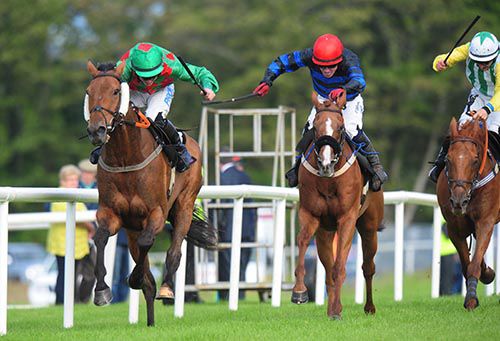 Whisky Galore (Mark Enright, red cap) rallies to press 1st past post He Is Top Class