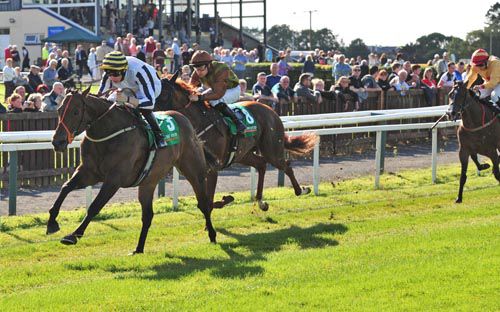 Monsieur Joe and Joseph O'Brien - best in the Abergwaun