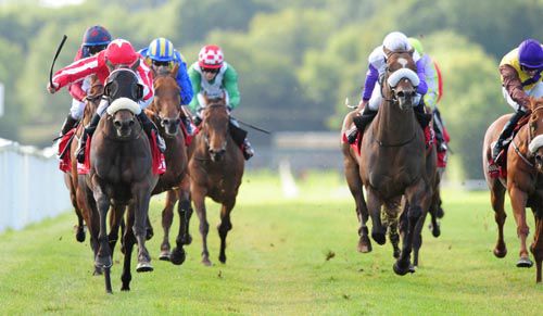 Noseband and visor Ostatnia comes out on top in race 3 at Tipperary
