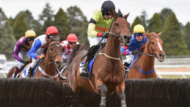 Ruby Walsh winning on Bashboy