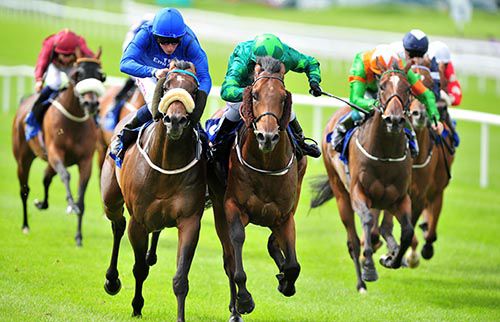 Mattmu (green colours) edges out Toscanini in a great finish