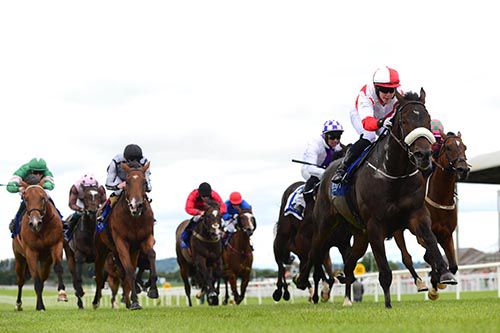 Captain Cullen (noseband) and Ian Queally winning at the Curragh