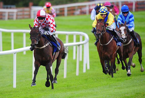 Ciandarragh has them in trouble at Ballinrobe