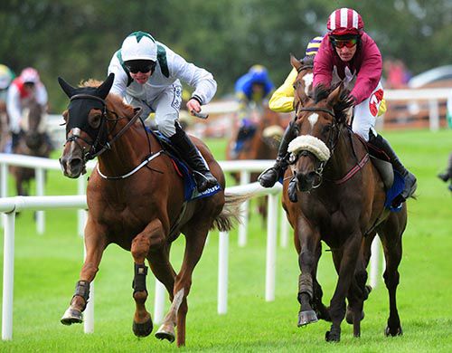 Mossy Island, left, outguns Balofilo in Ballinrobe