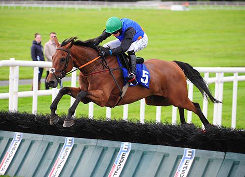 Winter Breeze is well clear at the last in Ballinrobe