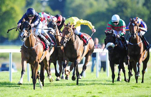 Easter (blinkers) is driven out by Seamie Heffernan