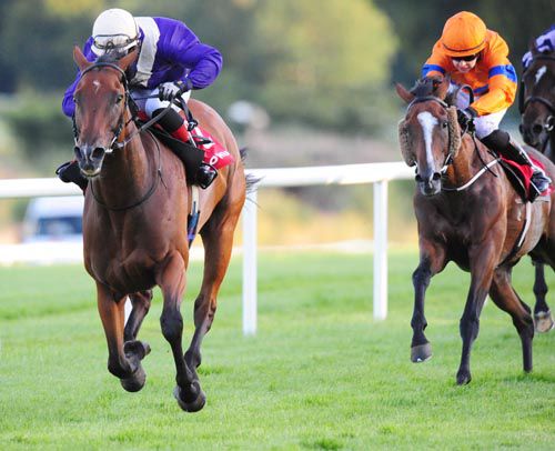 Johann Bach is pushed out by Dylan Hogan to beat Udogo