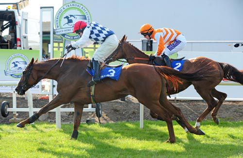 Dandridge & David Casey get up to beat Company Coming & Brian O'Connell
