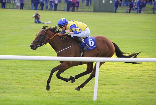 Aurelia Cotta and Denis Lenihan 