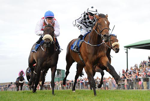 Mademoiselle Penny, white and black, gets the job done in Tramore
