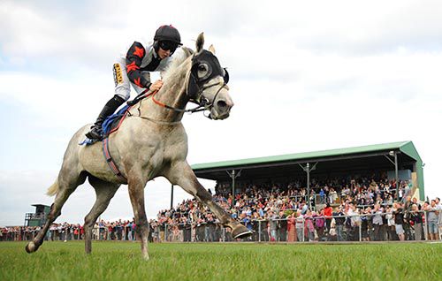 Magnetic Force romps home in Tramore