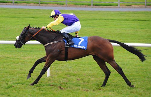 Hazariban forges on towards the line