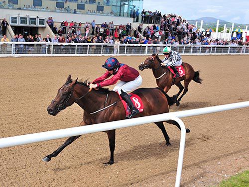 Well Caught and Conor Hoban