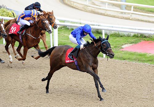 French Blue pictured on her way to victory at Dundalk on Sunday