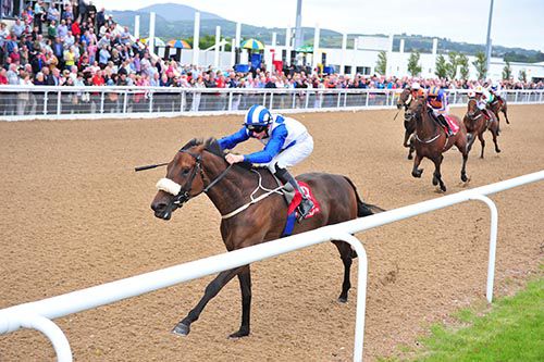 Intisari and Conor Hoban