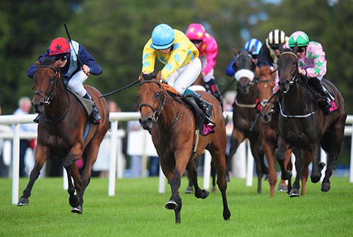 Clon Rocket, yellow, gets off the mark in Sligo