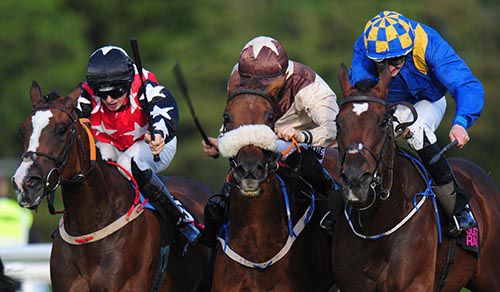 The Ring Is King, blue, gets his head in front at Sligo