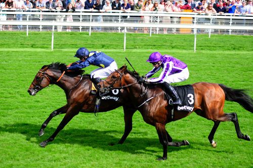Storm The Stars beats Bondi Beach at York