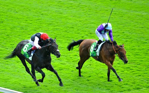 Arabian Queen beating Golden Horn