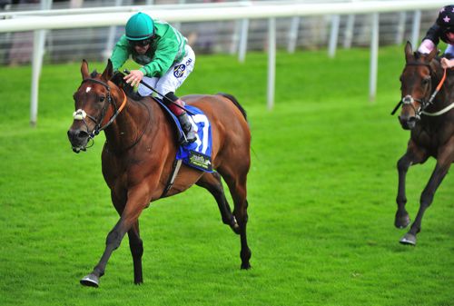 Heartbreak City comes home a good winner under Franny Norton