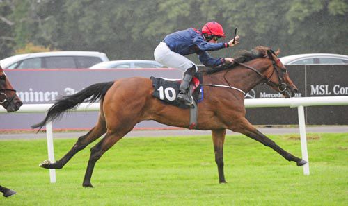 Maknificent is ridden out by Shane Kelly