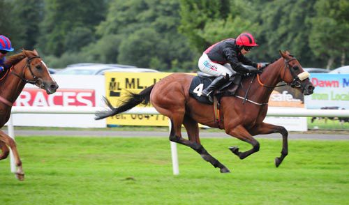 Peregrine Run is ridden out by Katie Walsh