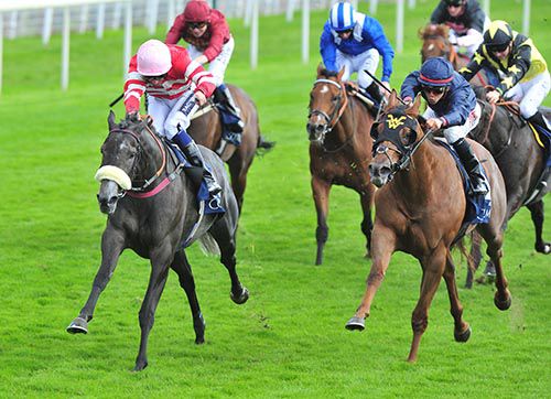 Mecca's Angel, left, collars Acapulco in York