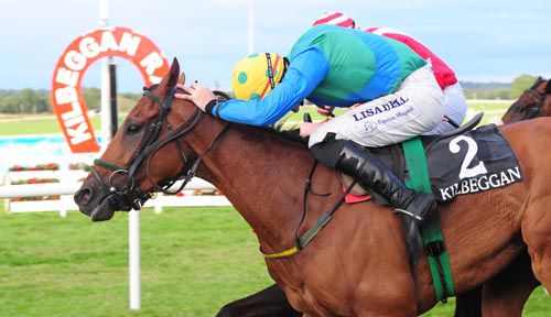 Tulsa Jack, near side, gets up in Kilbeggan