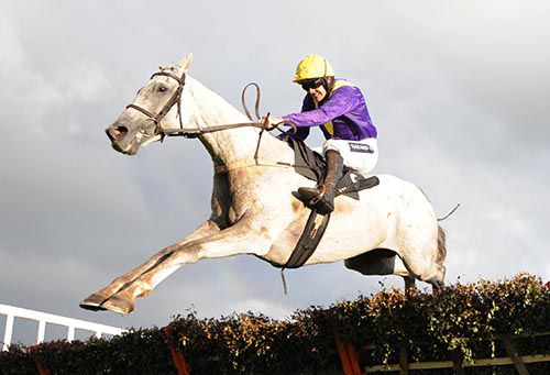 Rupert Lamb bags a nice pot in Killarney