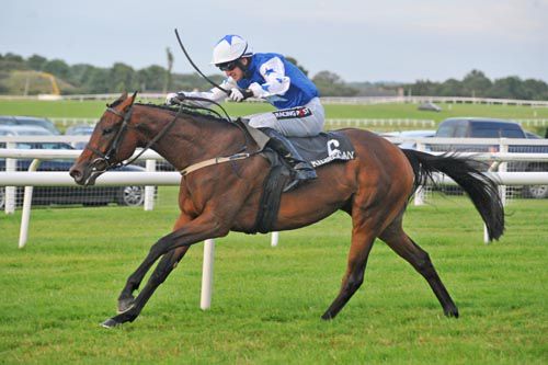Airlie Beach approaches the winning post in Kilbeggan