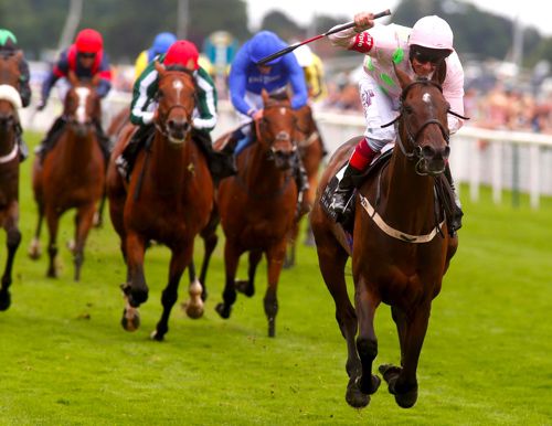 Max Dynamite - back in search of more York glory