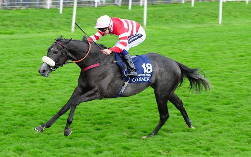 Mecca's Angel