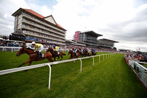 York action