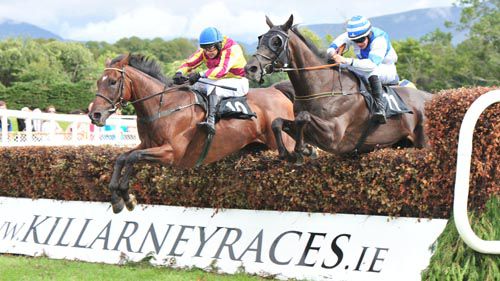 A Decent Excuse jumps the last just ahead of Harangue (blinkers)