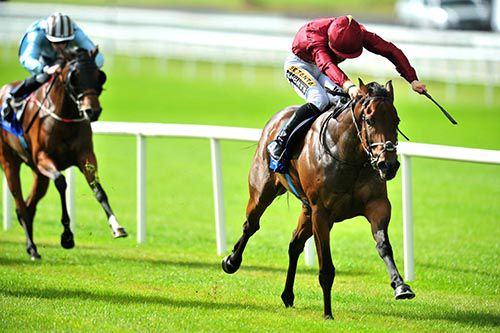 Bear Cheek is ridden out by Colin Keane