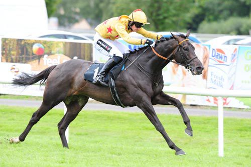 High Secret is ridden out by Patrick Mullins