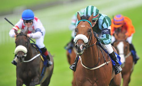 Three Colours Red comes home a comfortable winner under Michelle Blumenauer