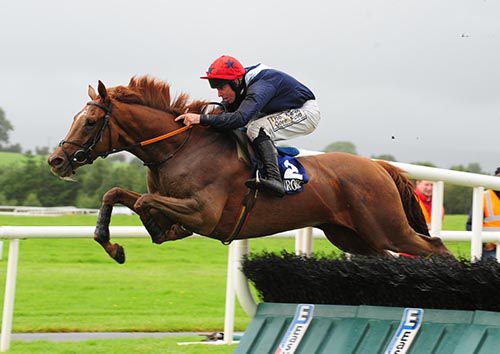 Time For Mabel winning at Ballinrobe