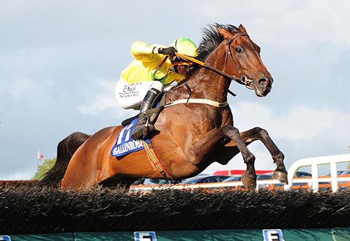 The Informer and Paul Townend