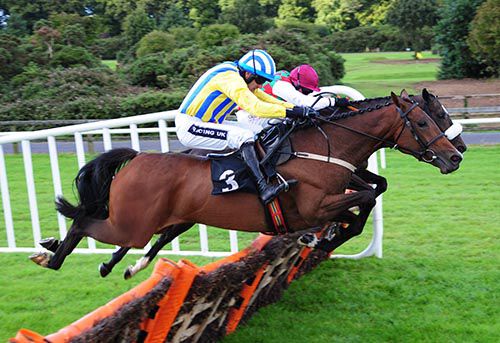 Whiteout (nearest) and Miss Dinamic jump the last together