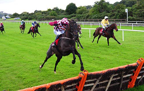 Rocky Court takes off at the last under Paul Townend