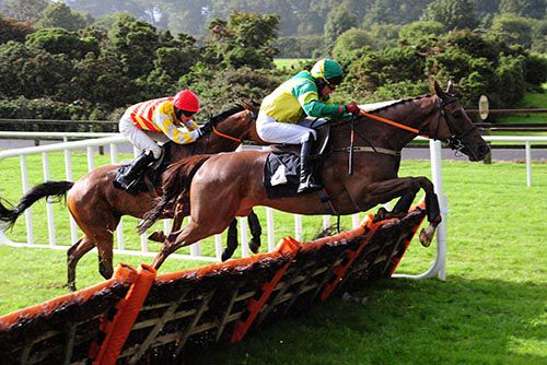 Effernock Lad jumps the last in front of Beautiful Ben