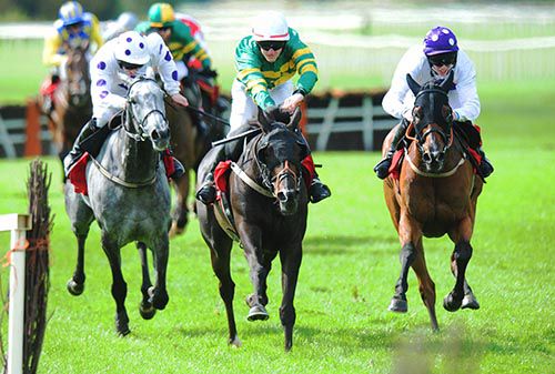 From left to right; Wisty, Golden Ticket and winner My Manekineko battle it out in the straight